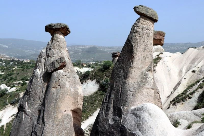TÜROFED BAŞKAN YARDIMCISI DİNLER, 