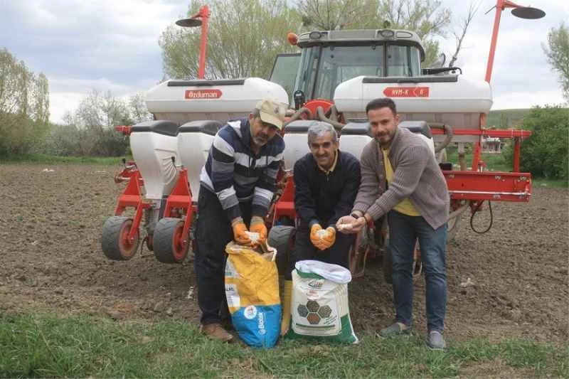 Yozgat’ta 5 çeşit kuru ve yeşil fasulye deneme ekimi gerçekleştirildi