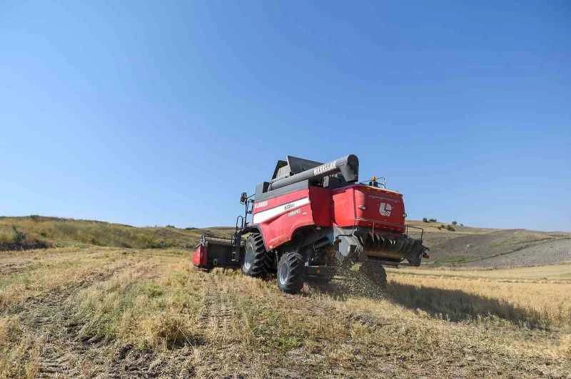 Altındağ’da çiftçilere tohum desteği