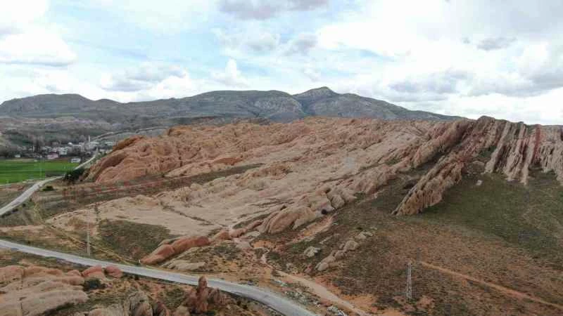 Dünyadaki Mars, dikilen ağaçlarla yeşerecek