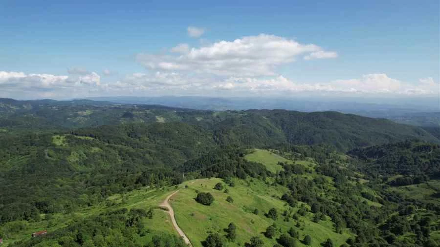 Zonguldak ormanları hayran bıraktı
