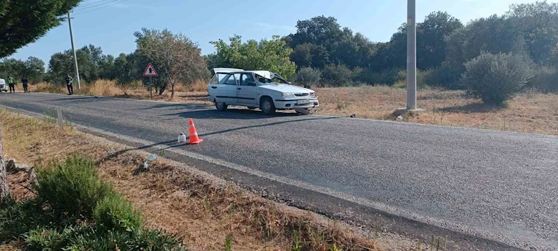 Otomobilin çarptığı emekli öğretim üyesi hayatını kaybetti
