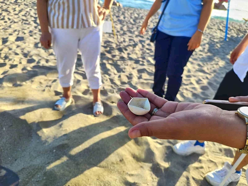 Alanya’da caretta caretta yuvalarındaki yumurtalar tek tek kontrol edildi
