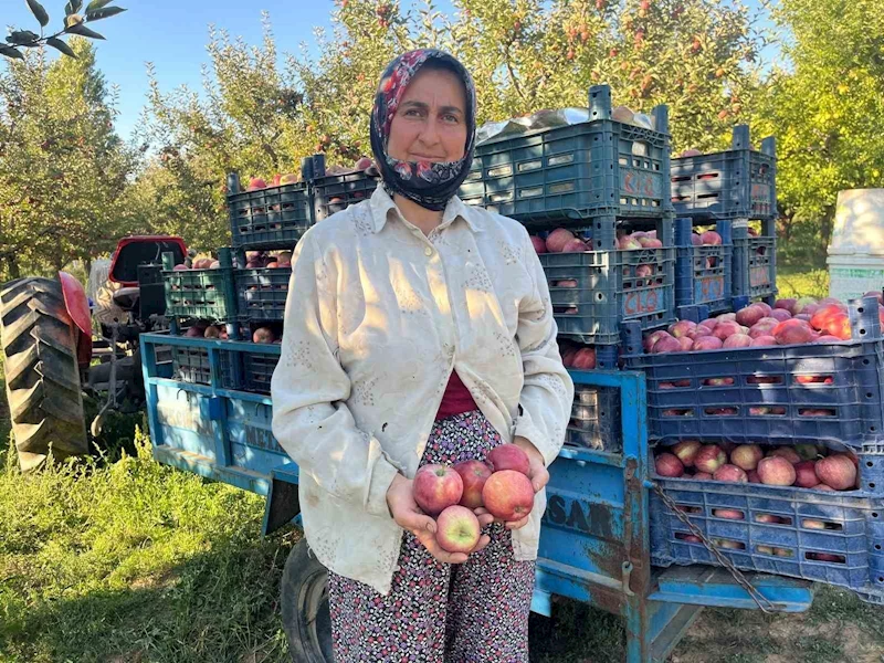 Elma verimi üreticinin yüzünü güldürdü
