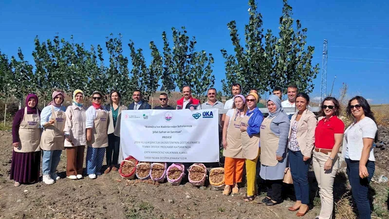 Çorum’da “BizimOra’lı kadınların şifalı safran ve sarımsak projesine OKA desteği
