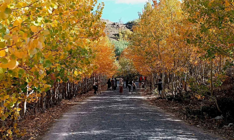 Nemrut Kalderası’nda sonbahar güzelliği
