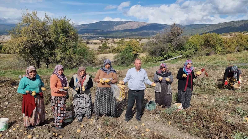 Kütahyalı çiftçiler arpa, buğday yerine daha kârlı olan patates üretimine yöneldi
