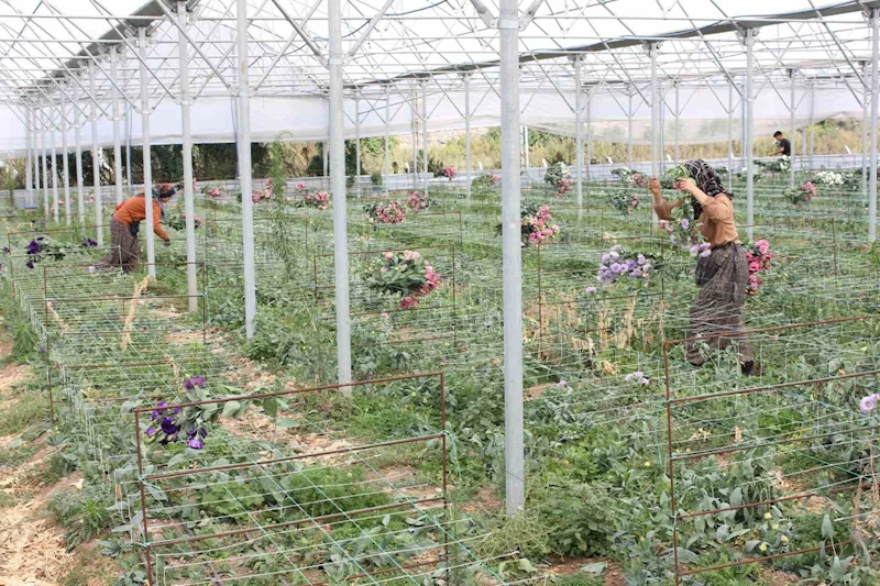 Erzincan’dan Tokat ve Samsun’a inceleme gezisi
