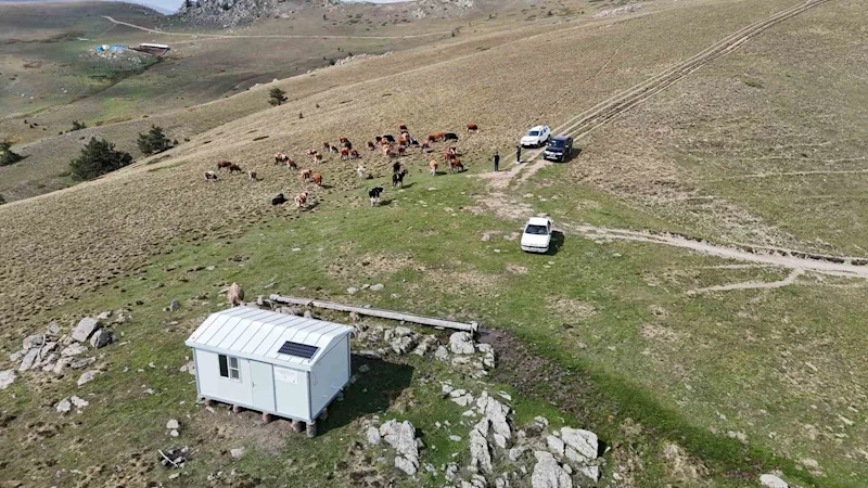 Bu evler çobanlık mesleğini cazip hale getiriyor, hayvansal üretime katkı sağlıyor
