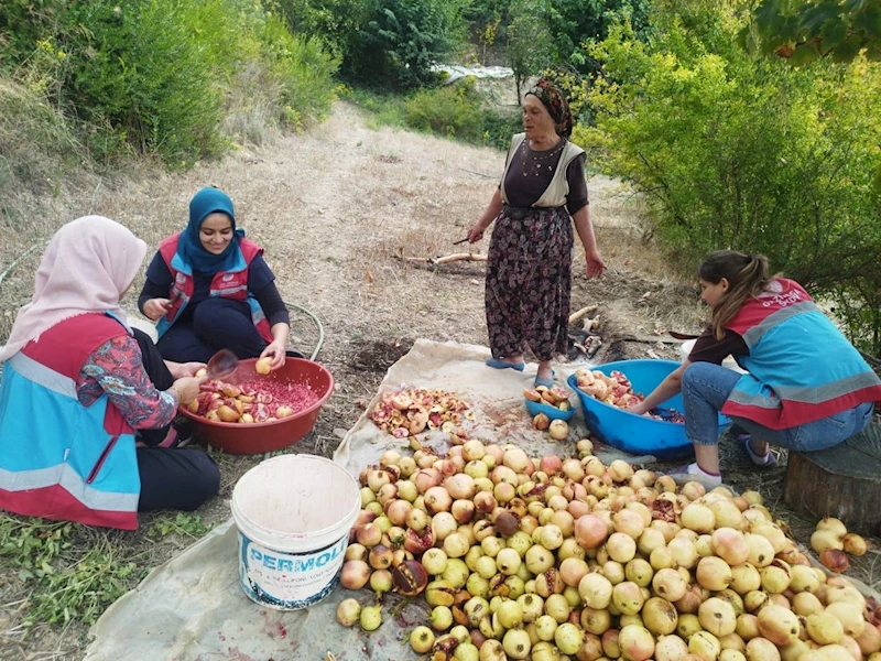 Vefa Sosyal Destek Grubu’ndan 1 ayda 600 faaliyet
