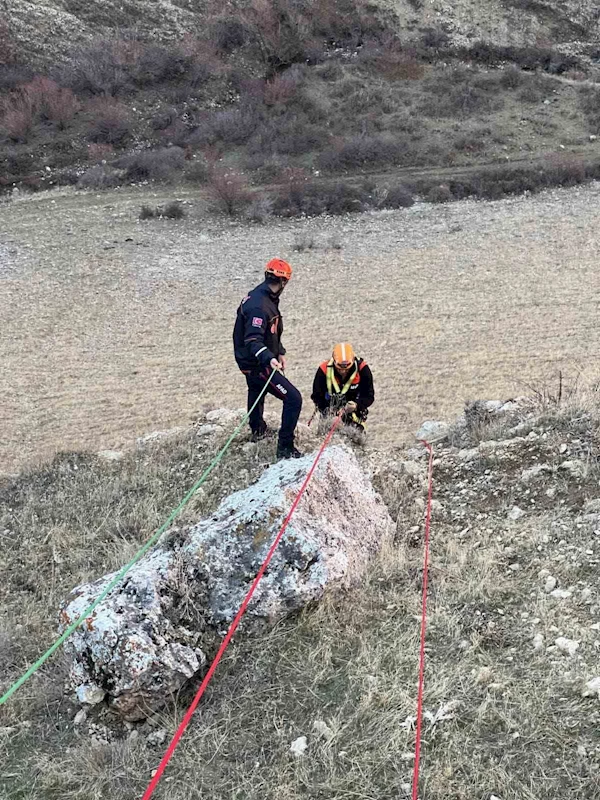 Muş’ta kayalıkta mahsur kalan keçiler kurtarıldı
