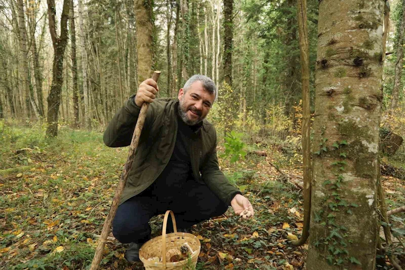 Belediye Başkanının ayı şaşkılığı
