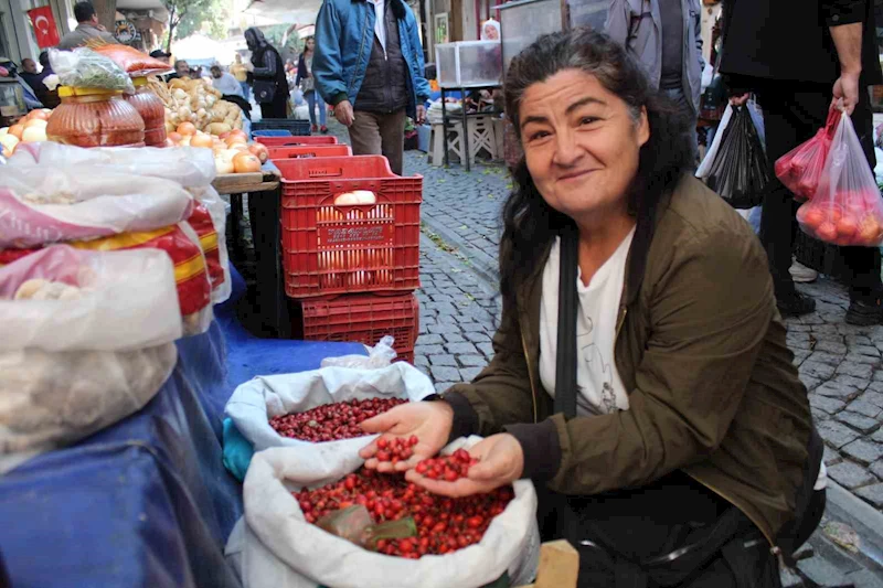 Dikenlerin arasında zahmetle toplanan kuşburnu, tezgahlarda yerini aldı
