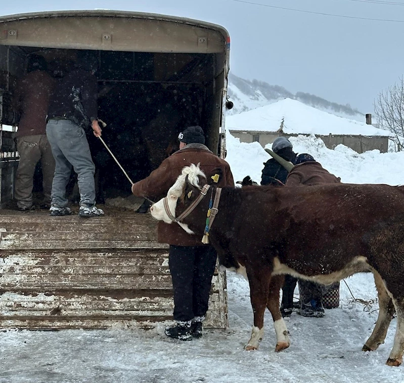 Ordu’da kar nedeniyle yaylada mahsur kalan vatandaşlar kurtarıldı
