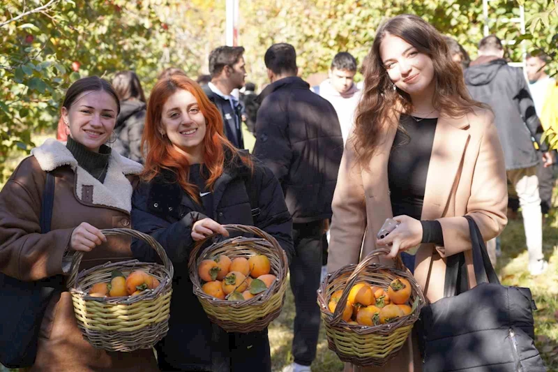 Bilecik’te 6 yıl önce deneme amaçlı dikilen hurma fideleri ilk meyvelerini verdi
