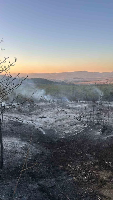 Yenişehir’de çıkan yangın kontrol altına alındı
