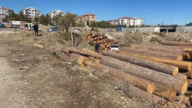 Isparta’da kontrolden çıkan otomobil tomrukların üzerinden düştü: 2 yaralı
