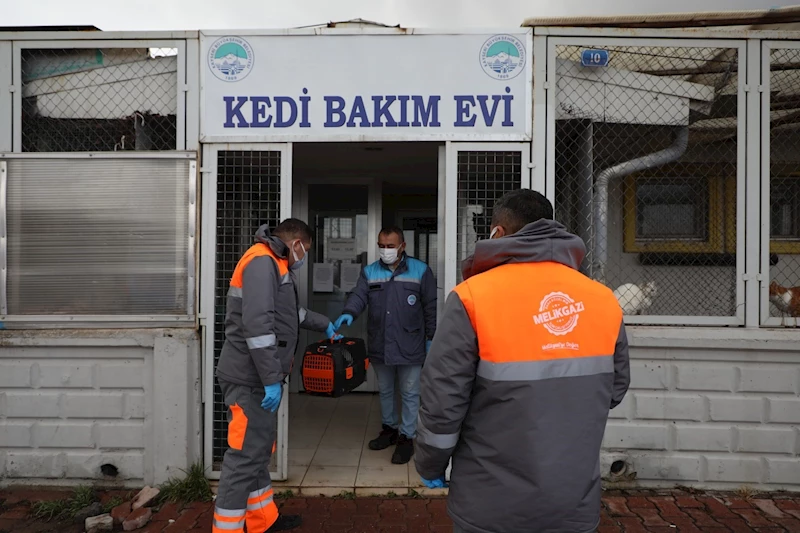 Melikgazi sayesinde sevimli dostlar hayata tutunuyor