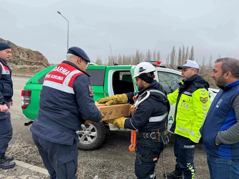 Muş’ta elektrik tellerine sıkışan puhu kuşu kurtarıldı
