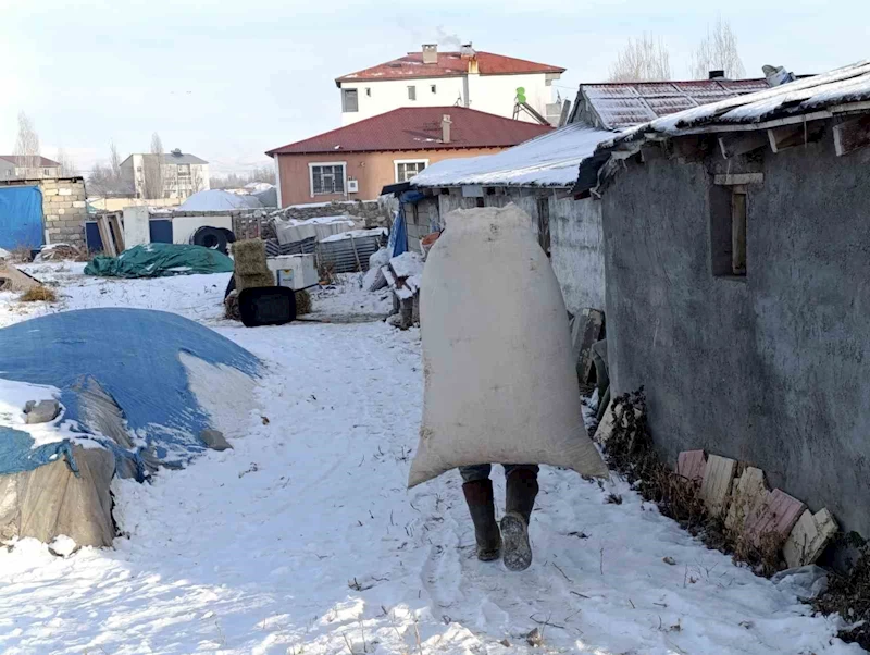 Sibirya soğukları Ağrı’da yaşamı felç etti
