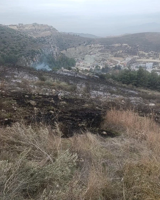 Antakya’da makilik yangını
