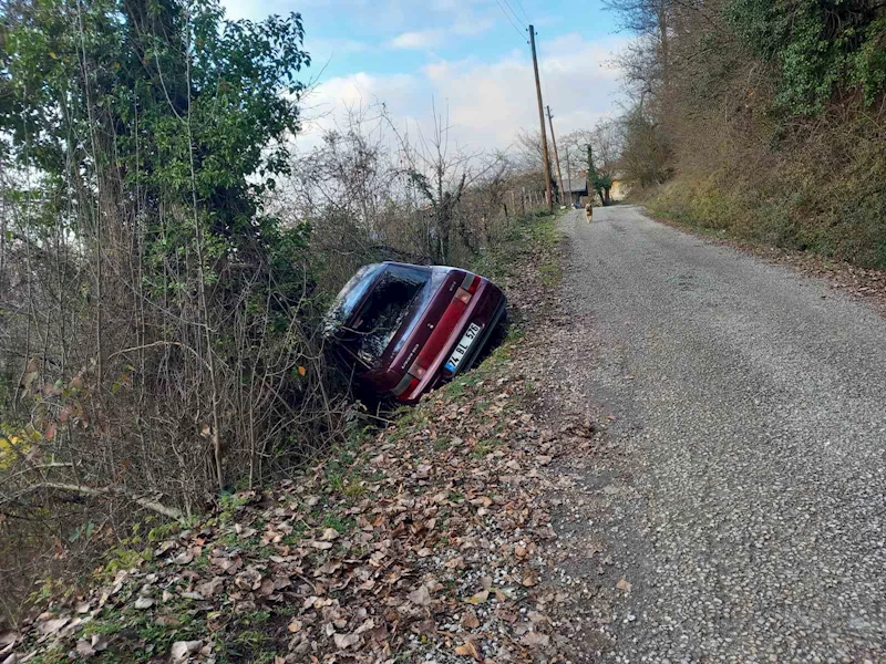 Yoldan çıkan araçtan yara almadan kurtuldu
