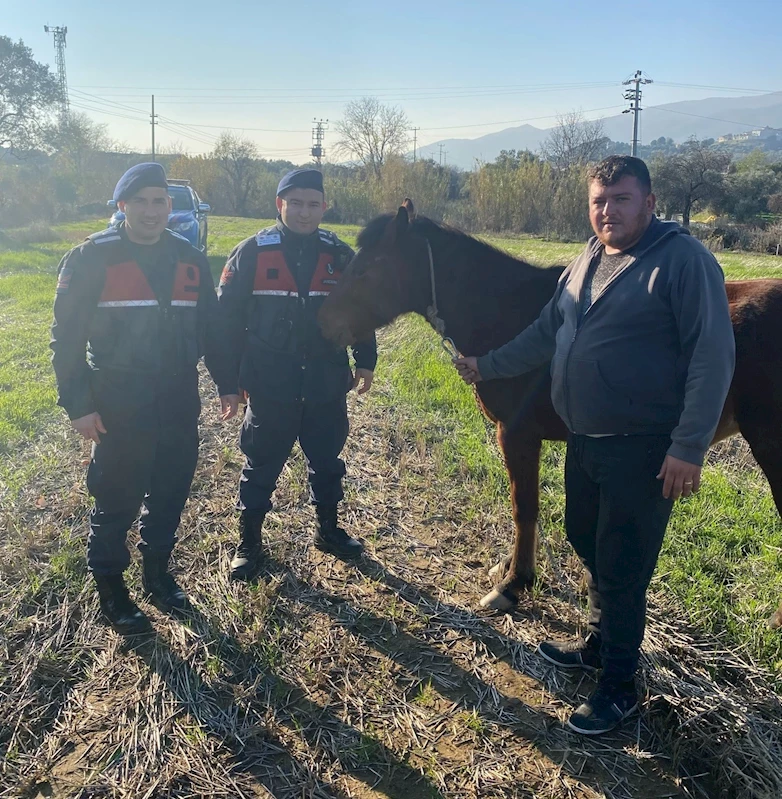 Kaybolan rahvan atı, jandarma ekiplerince bulundu
