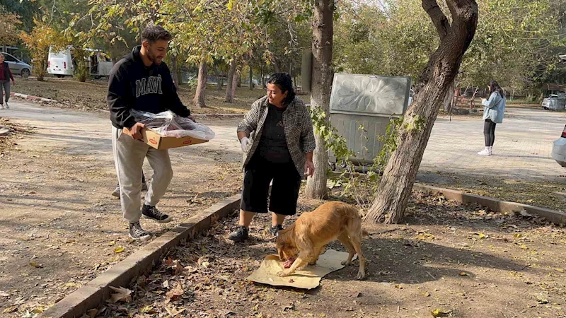 Osmaniye’de sokak hayvanları için doğaya yem bırakıldı
