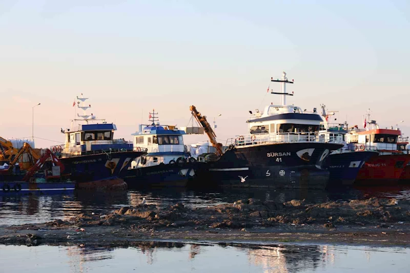 Didim Taşburun Balıkçı Barınağı’nın içler acısı hali görenleri şaşırtıyor
