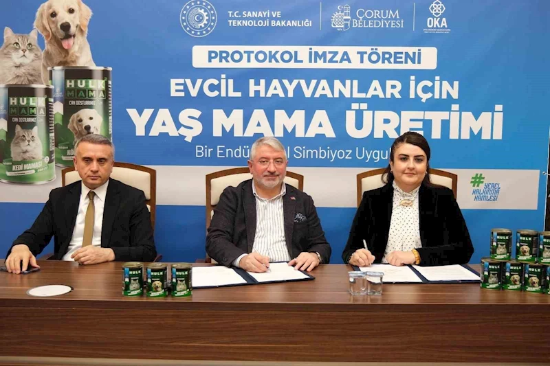 Yaş mama sektöründe ithalatı ortadan kaldıracak proje: Dünyanın merkezi global pazarda yerini alacak
