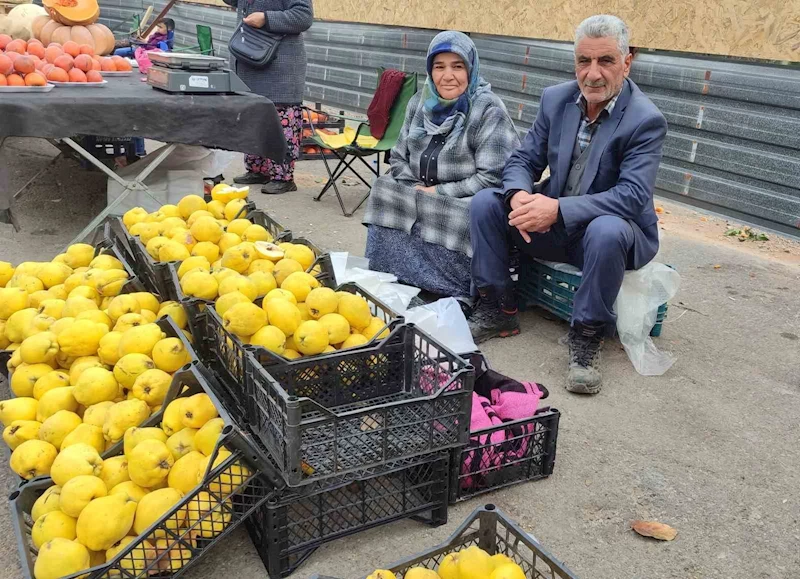 Kendi bahçesinde yetiştirdikleri ayvaları satarak 7 çocuk okuttular
