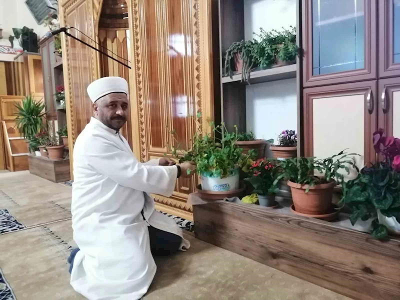 Tokatlı imam cami içini çiçek bahçesine çevirdi
