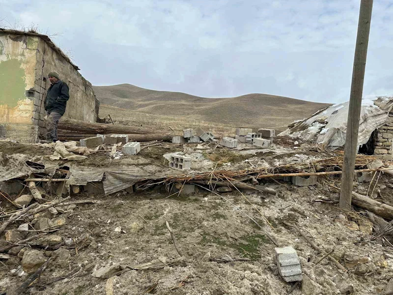 Muş’ta ahır çöktü: 30 küçükbaş hayvan telef oldu
