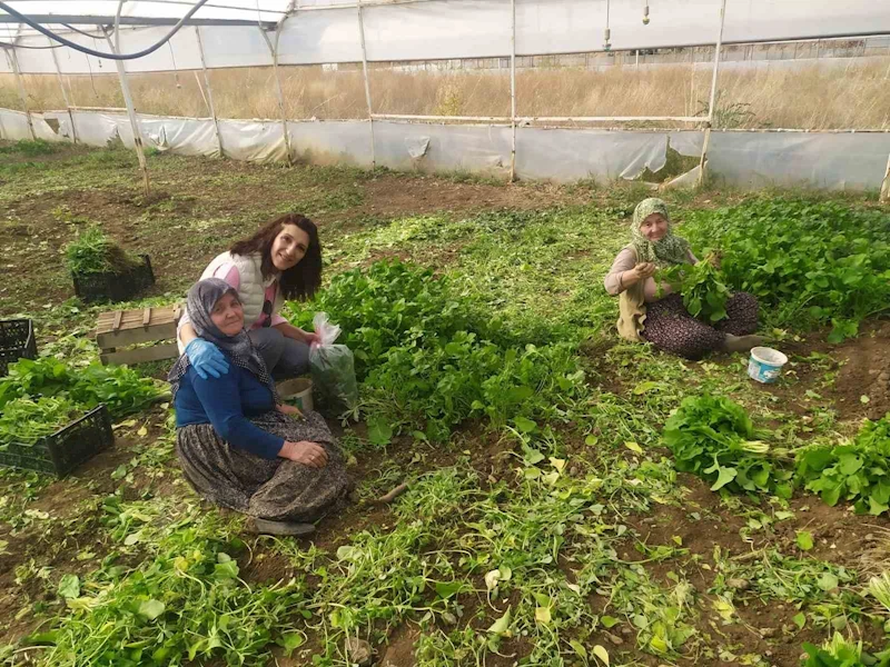 Eskişehir’de sağlıklı tarımsal üretim çalışmaları devam ediyor
