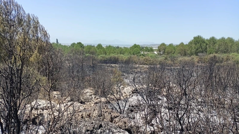 Antalya’da orman yangınında 2 hektar alan zarar gördü
