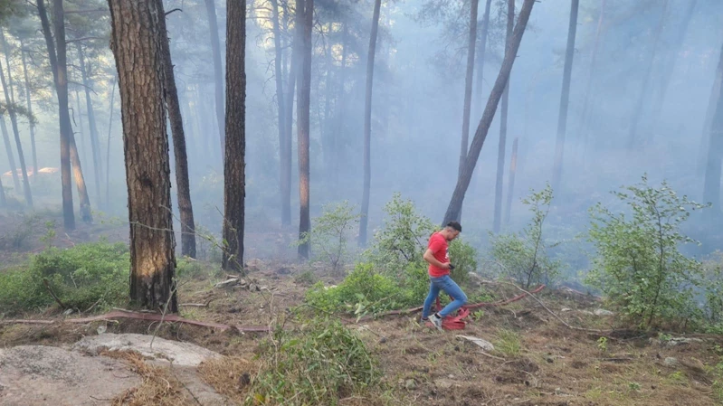 Burdur’da çıkan orman yangınında 10 dekar alan yandı
