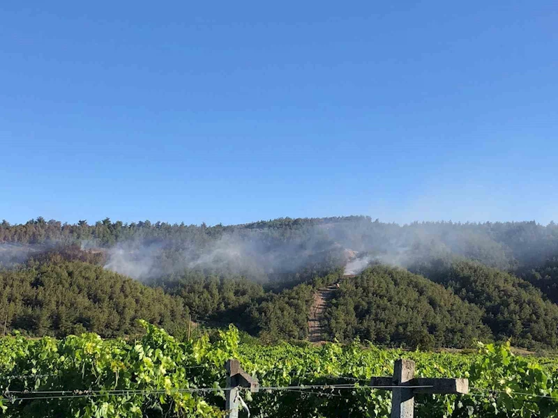 Sakarya’da ormanlık alanda çıkan yangına havadan ve karadan müdahale
