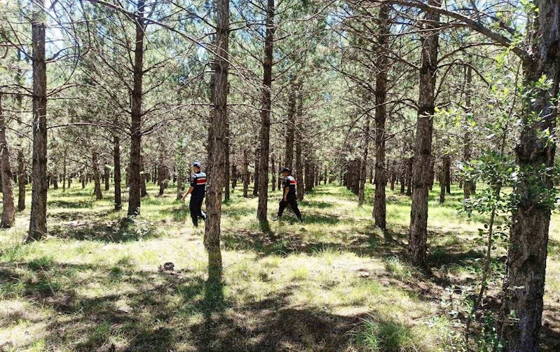Çavdarhisar’da jandarma yangınlara karşı ormanlık alanları kontrol etti
