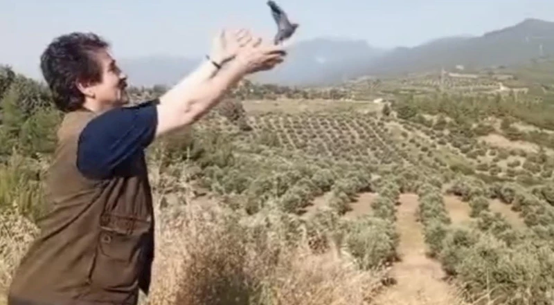 Osmaniye’de tedavisi tamamlanan kuşlar doğaya bırakıldı
