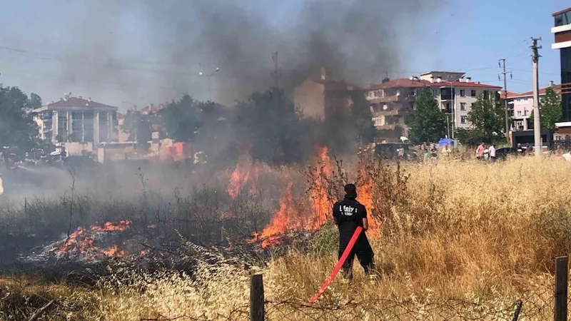 Tekirdağ’da mahalle arasındaki arazi yangını korkuttu: 50 güvercin son anda kurtarıldı
