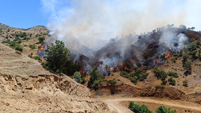 Bingöl’de iki ayrı ilçedeki orman yangınları söndürüldü
