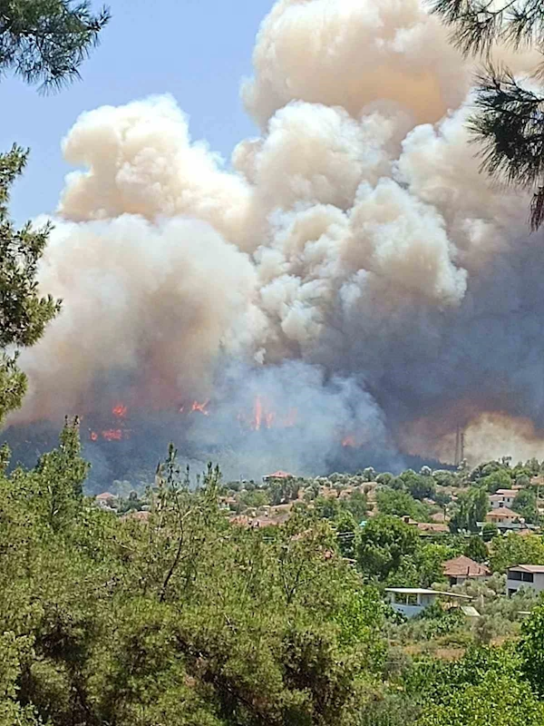 Menderes’te orman yangını: Uçaklar ve helikopterler bölgede
