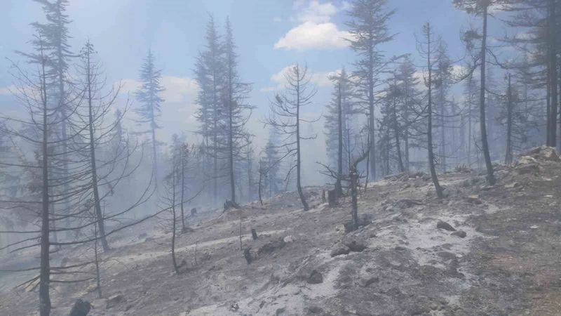 Karaman’da çıkan orman yangınına havadan ve karadan müdahale ediliyor
