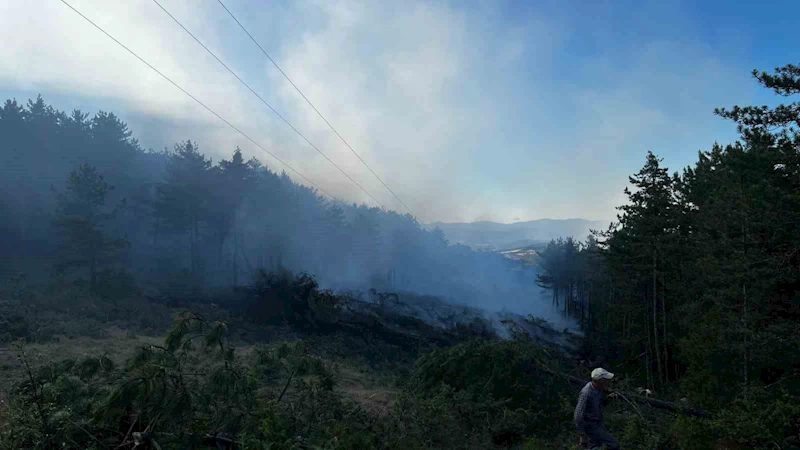 Kastamonu’da orman yangını: 2 hektarlık alan zarar gördü

