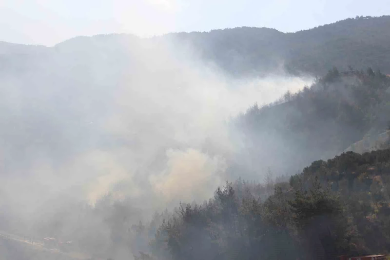 Hatay’daki orman yangını kontrol altına alındı
