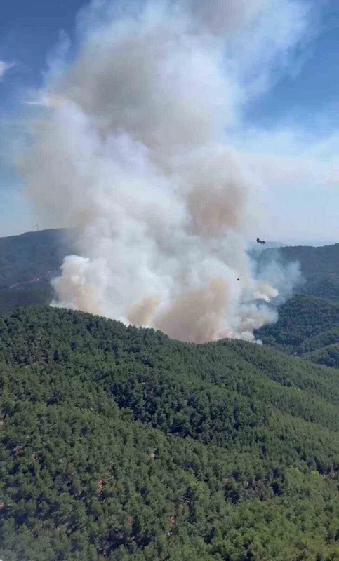 Bergama’daki orman yangına havadan ve karadan müdahale
