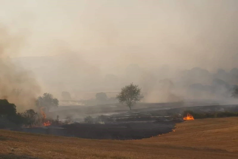 Balıkesir’de orman yangını: Havadan ve karadan müdahale sürüyor
