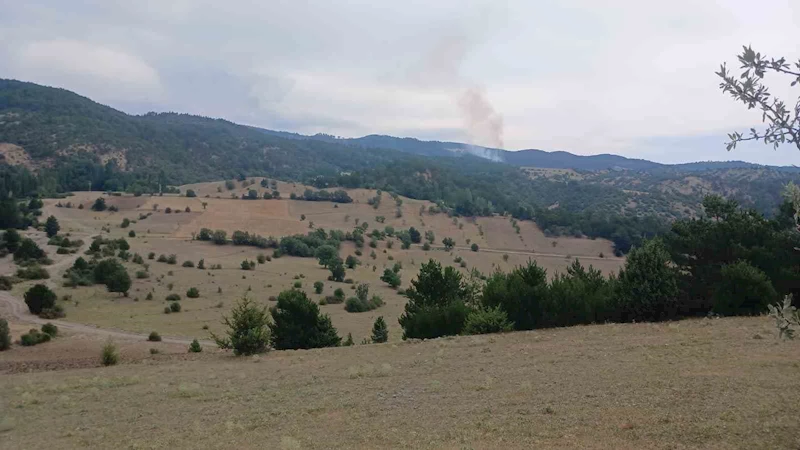 Osmancık’ta çıkan orman yangını kontrol altına alındı
