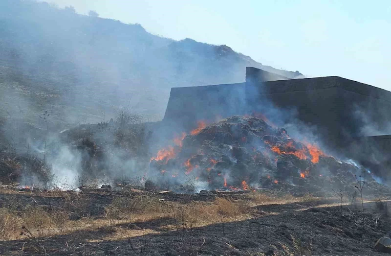 Bandırma’da yangın: Bin dönüm otluk alan yandı
