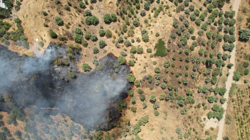 Manisa’daki orman yangını kontrol altına alındı
